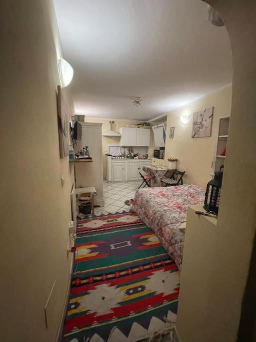 דירות פירנצה Monolocale Carino מראה חיצוני תמונה